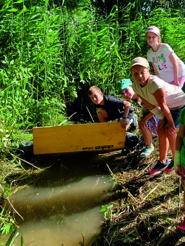 Ein tolles Erlebnis, einen kleinen Staudamm zu bauen (Foto: Florian Schierlinger)